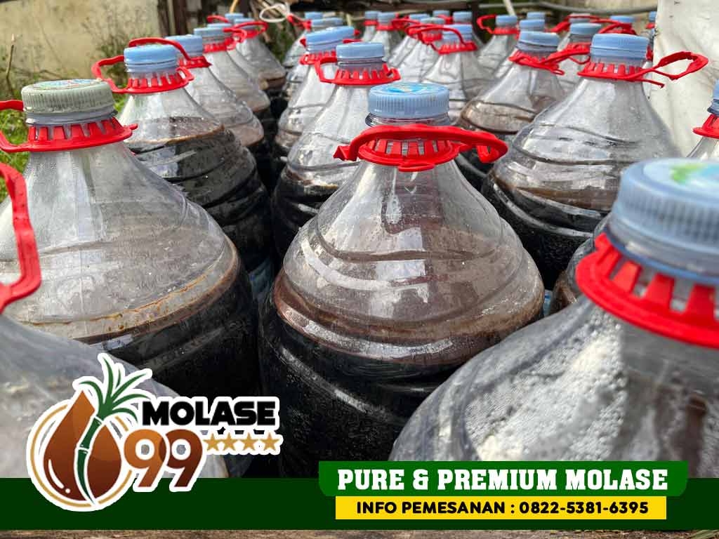 Tetes Tebu Untuk Kambing Sapi Ikan